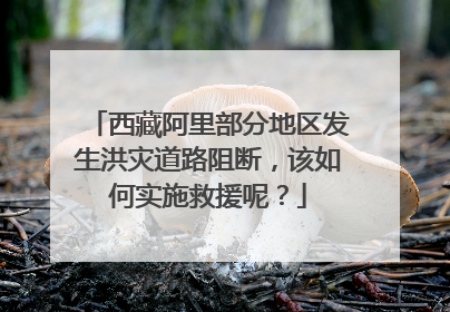 西藏阿里部分地区发生洪灾道路阻断,该如何实施救援呢?