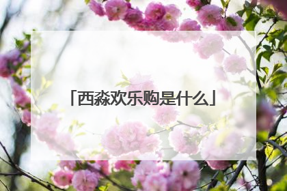 西淼欢乐购是什么