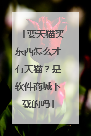 要天猫买东西怎么才有天猫？是软件商城下载的吗