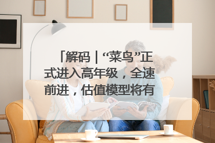 解码|“菜鸟”正式进入高年级,全速前进,估值模型将有化学反应...