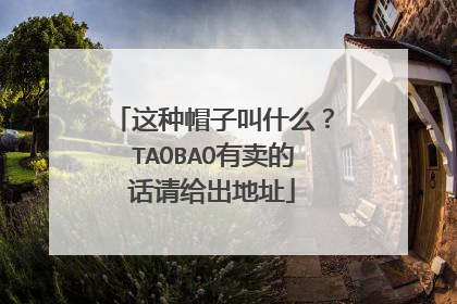 这种帽子叫什么?TAOBAO有卖的话请给出地址
