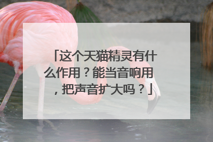 这个天猫精灵有什么作用?能当音响用,把声音扩大吗?