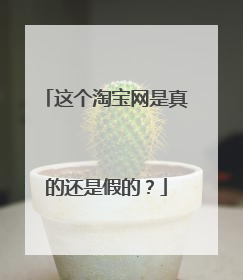 这个淘宝网是真的还是假的?