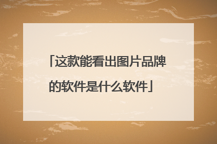 这款能看出图片品牌的软件是什么软件