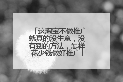 这淘宝不做推广就真的没生意,没有别的方法,怎样花少钱做好推广