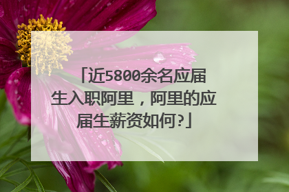 近5800余名应届生入职阿里，阿里的应届生薪资如何?