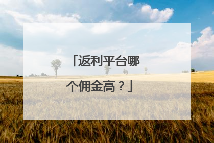 返利平台哪个佣金高?