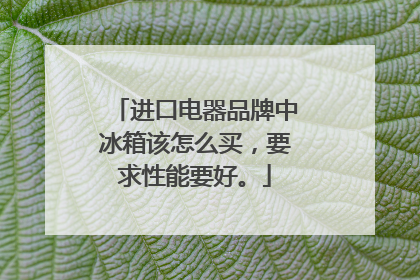 进口电器品牌中冰箱该怎么买，要求性能要好。