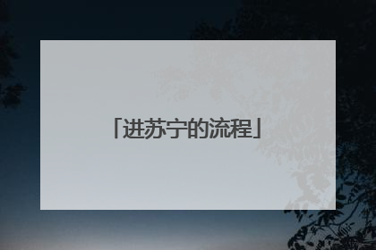 进苏宁的流程