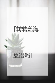 转转蓝海靠谱吗