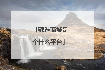 辣选商城是个什么平台