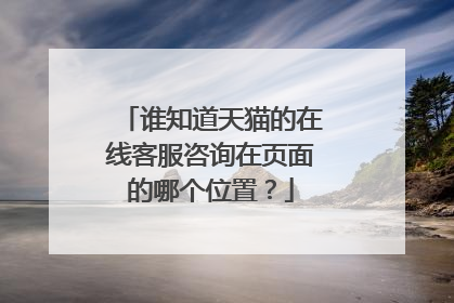 谁知道天猫的在线客服咨询在页面的哪个位置?