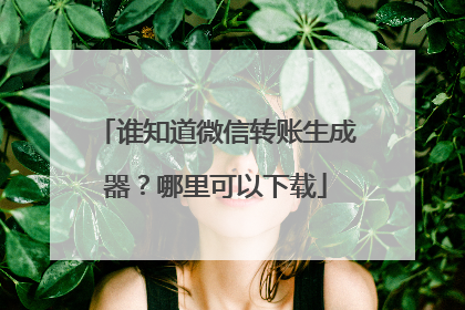 谁知道微信转账生成器?哪里可以下载