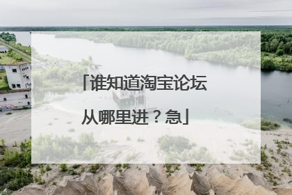 谁知道淘宝论坛从哪里进?急