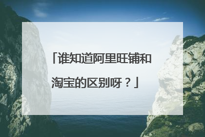 谁知道阿里旺铺和淘宝的区别呀？