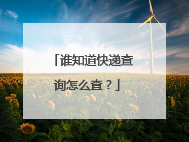 谁知道快递查询怎么查?