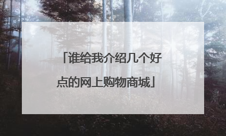 谁给我介绍几个好点的网上购物商城