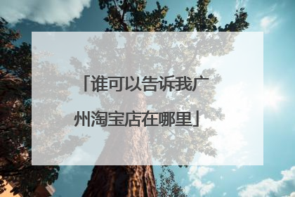 谁可以告诉我广州淘宝店在哪里