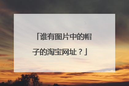 谁有图片中的帽子的淘宝网址?