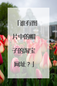 谁有图片中的帽子的淘宝网址?