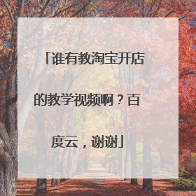 谁有教淘宝开店的教学视频啊?百度云,谢谢