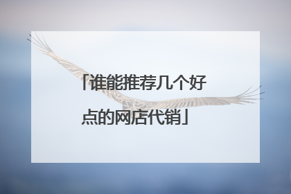谁能推荐几个好点的网店代销