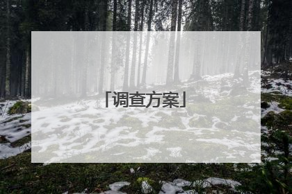 调查方案