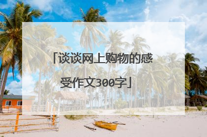 谈谈网上购物的感受作文300字