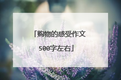 购物的感受作文500字左右