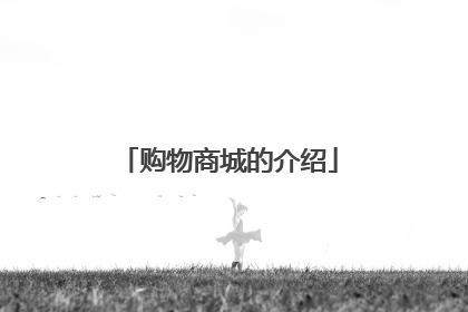 购物商城的介绍