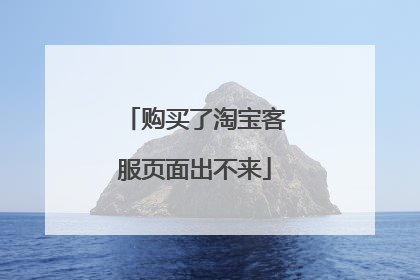 购买了淘宝客服页面出不来