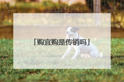 购宜购是传销吗