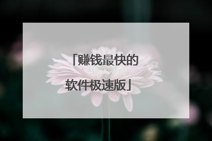 赚钱最快的软件极速版