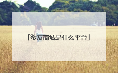 赞友商城是什么平台