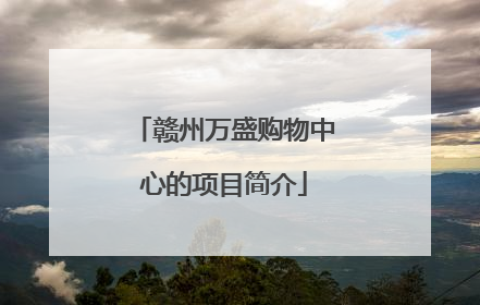 赣州万盛购物中心的项目简介
