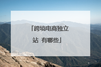 跨境电商独立站 有哪些