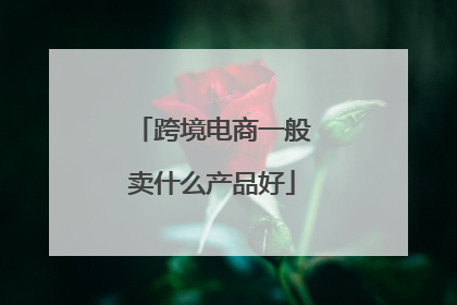 跨境电商一般卖什么产品好