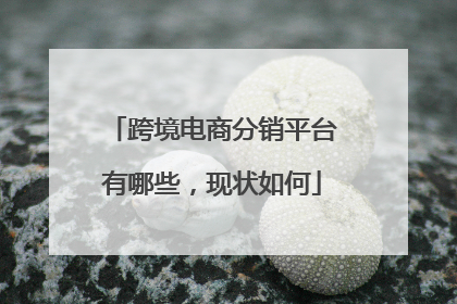 跨境电商分销平台有哪些，现状如何