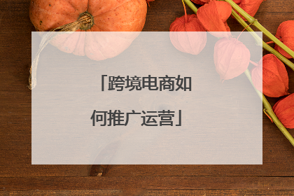 跨境电商如何推广运营