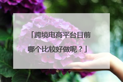 跨境电商平台目前哪个比较好做呢?