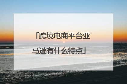 跨境电商平台亚马逊有什么特点
