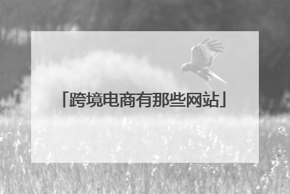 跨境电商有那些网站