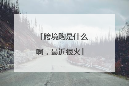 跨境购是什么啊,最近很火