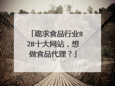 跪求食品行业B2B十大网站，想做食品代理？