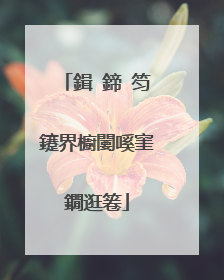 鍓�鍗′笉鑳界櫥闄嗘窐鐗逛箞