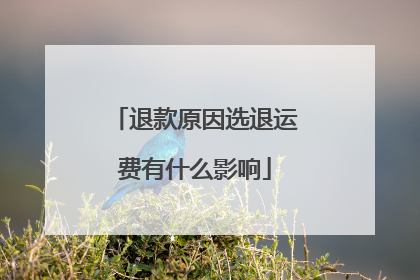 退款原因选退运费有什么影响
