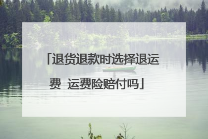 退货退款时选择退运费 运费险赔付吗