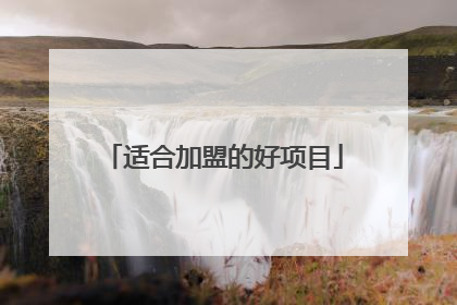 适合加盟的好项目