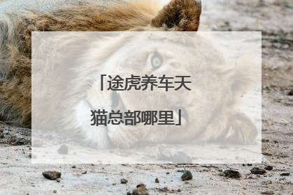 途虎养车天猫总部哪里