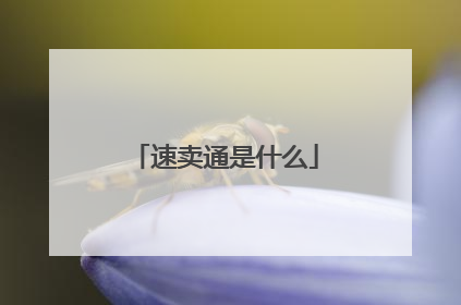 速卖通是什么